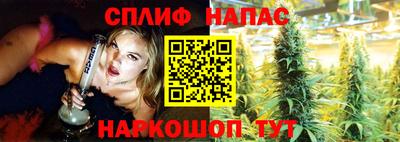 шишки Пыть-Ях